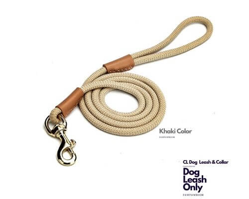 CL DOG D-Leash & Collar