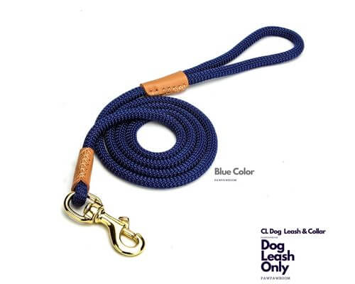 CL DOG D-Leash & Collar